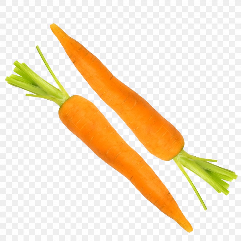 Baby Carrot Vegetable, PNG, 2480x2480px, Baby Carrot, Carrot, Drawing, Element, Food Download Free