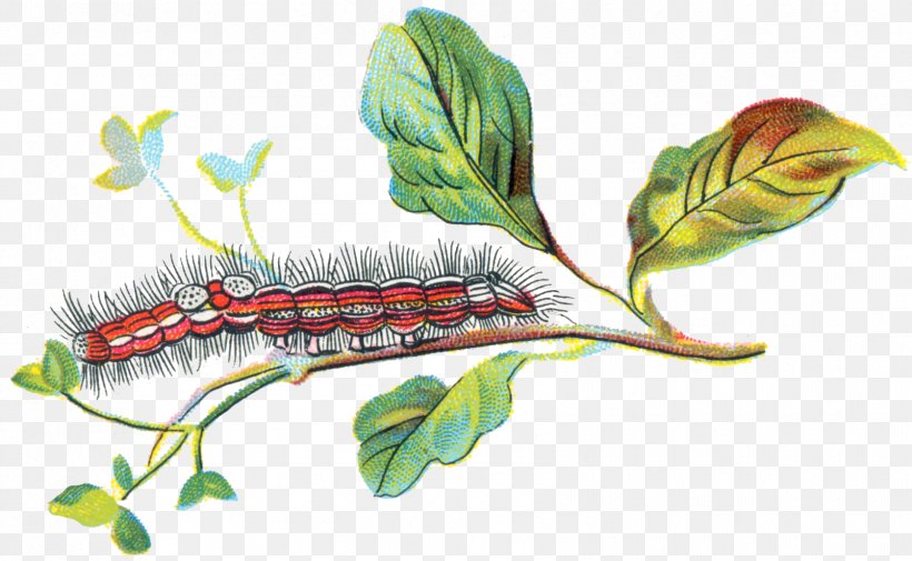 Caterpillar The Secret Of Childhood Yellow-tail Sensitive Periods, PNG, 1676x1033px, Caterpillar, Child, English, Insect, Invertebrate Download Free