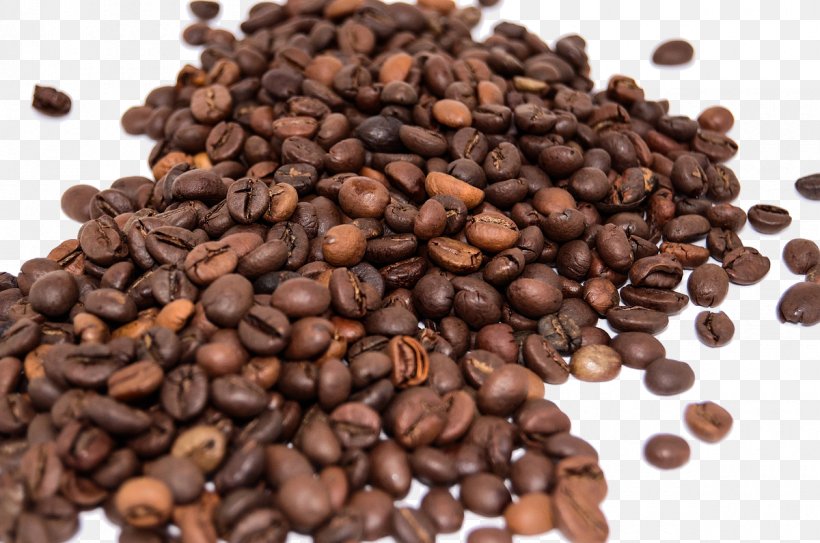 Coffee Bean Espresso Cafe Green Tea, PNG, 1200x795px, Coffee, Arabica Coffee, Bean, Cafe, Caffeine Download Free