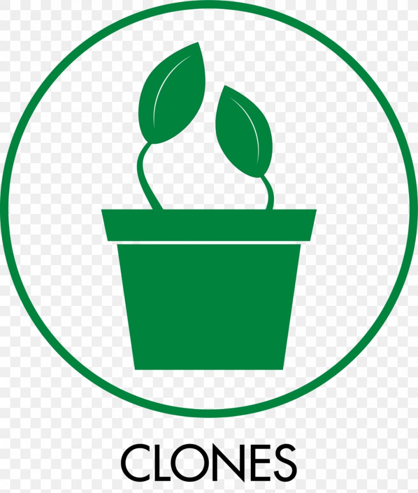 KindPeoples Cloning Hemp Medical Cannabis, PNG, 1000x1180px, Cloning, Area, Artwork, Brand, Cannabis Download Free