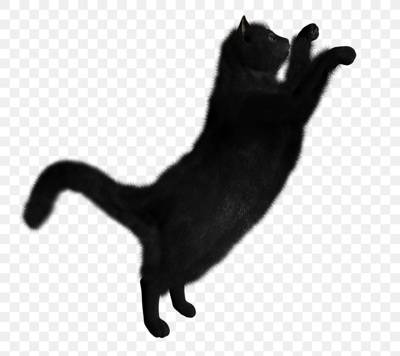 Black Cat Kitten Clip Art, PNG, 768x730px, Cat, Black, Black And White, Black Cat, Carnivoran Download Free