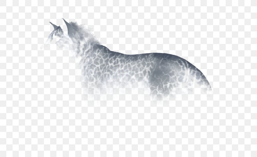 Horse Cat Mammal Dog Whiskers, PNG, 640x500px, Horse, Animal, Canidae, Carnivora, Carnivoran Download Free
