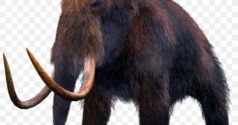 Mammuthus Meridionalis Woolly Mammoth Extinction Columbian Mammoth Mammal, PNG, 1200x630px, Mammuthus Meridionalis, Animal, Cloning, Columbian Mammoth, Elephantidae Download Free
