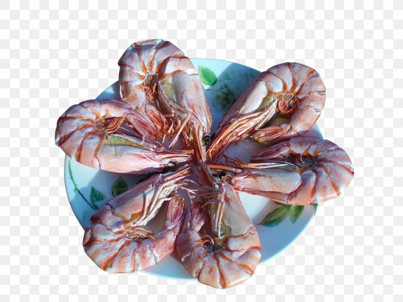 Shrimp Prawn Salt, PNG, 1024x768px, Shrimp, Chinese White Shrimp, Cooking, Dried Shrimp, Flower Download Free