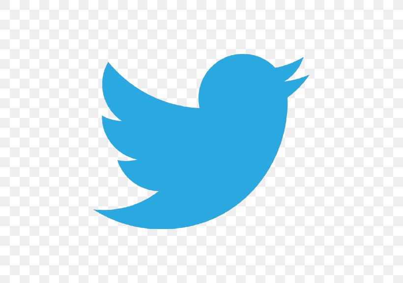 Logo Image Social Media, PNG, 582x576px, Logo, Bird, Facebook, Share Icon, Social Media Download Free