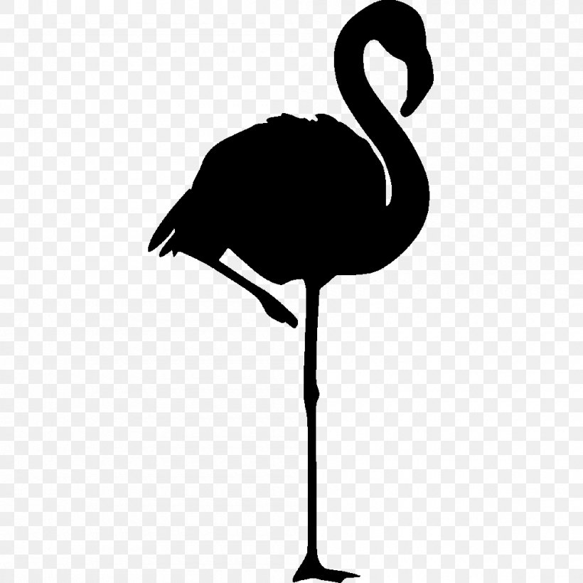 Flamingo Logo Pink Clip Art, PNG, 1000x1000px, Flamingo, Beak, Bird, Black And White, Color Download Free