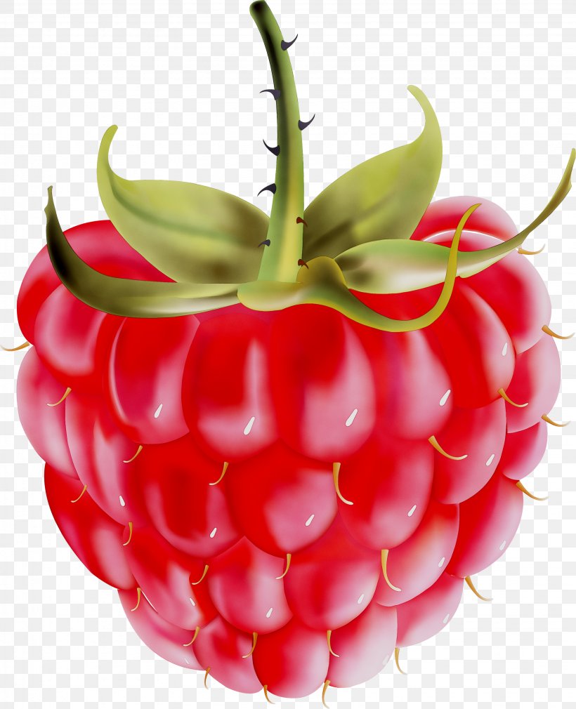 Strawberry Raspberry Accessory Fruit Food, PNG, 3272x4032px, Strawberry, Accessory Fruit, Berries, Berry, Food Download Free