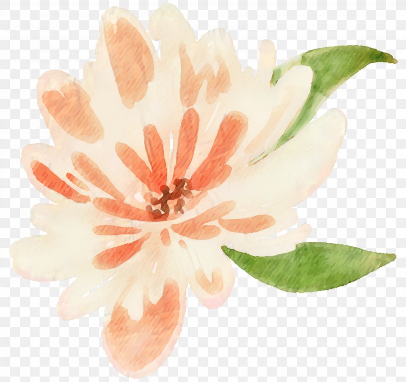 Clip Art Petal Flower Watercolor Painting Floral Design, PNG, 2996x2820px, Petal, Blossom, Botany, Floral Design, Flower Download Free