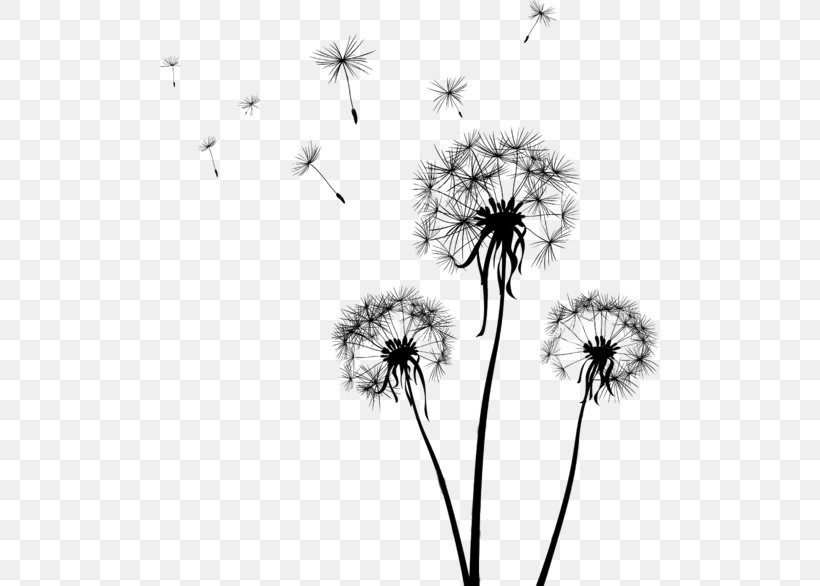 Dandelion Flower Black-and-white Dandelion Plant, PNG, 500x586px, Dandelion, Blackandwhite, Flower, Plant, Plant Stem Download Free