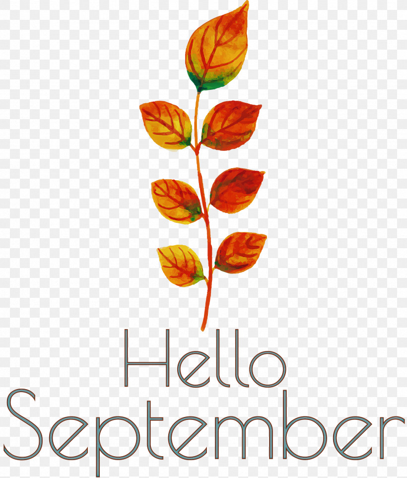 Hello September September, PNG, 2554x3000px, Hello September, Biology, Branching, Cut Flowers, Flower Download Free