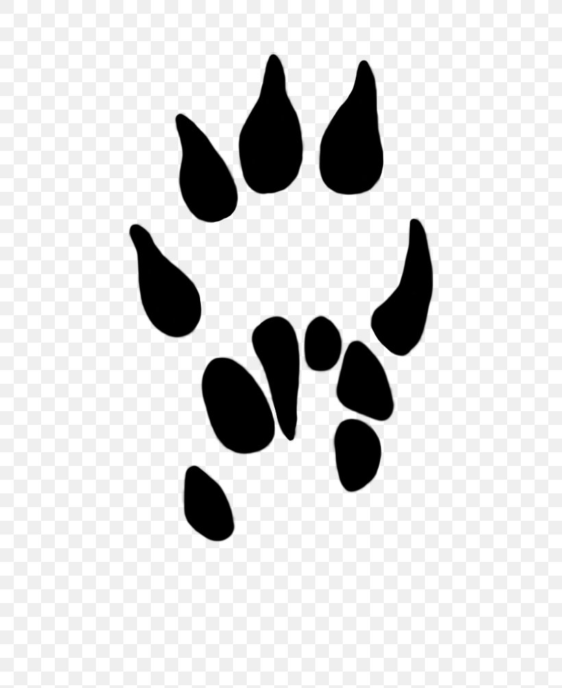 Paw Dog Common Shrew Clip Art, PNG, 502x1004px, Paw, Animal, Animal Track, Black, Black And White Download Free