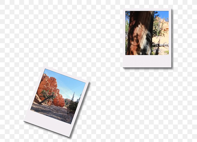 Photographic Paper Picture Frames Photography, PNG, 656x593px, Paper, Photographic Paper, Photography, Picture Frame, Picture Frames Download Free