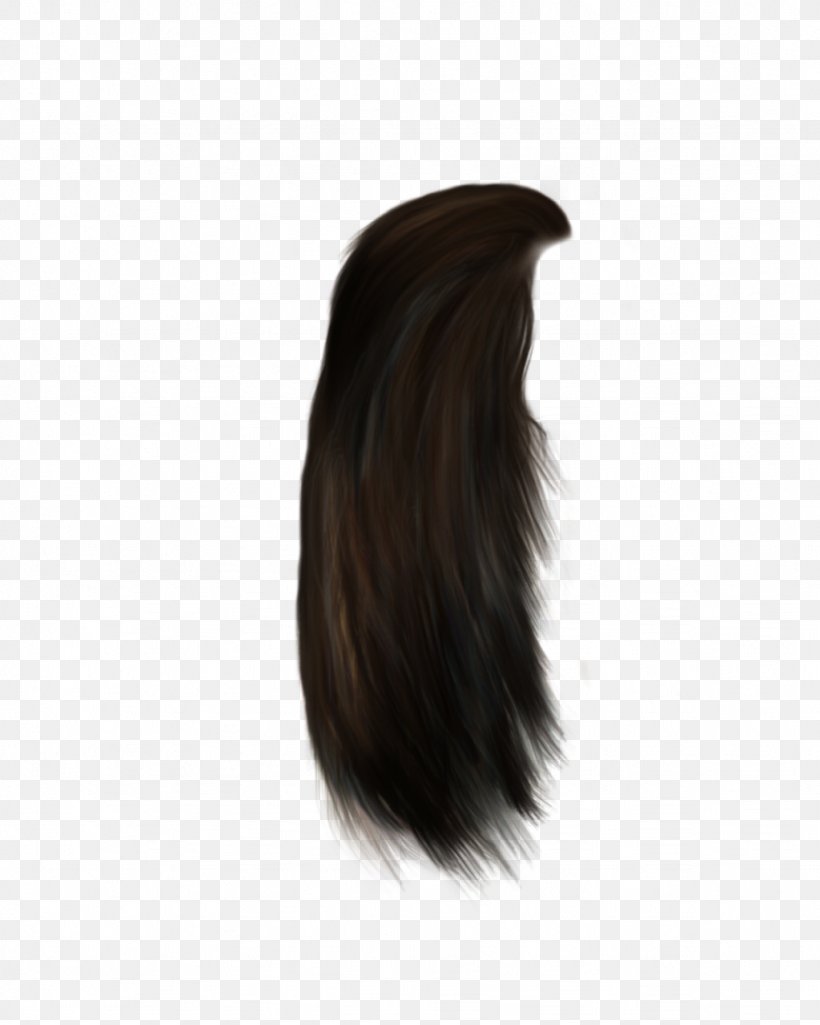 Black Hair Hair Coloring Brown Hair Long Hair, PNG, 1024x1280px, Hair, Black, Black Hair, Brown, Brown Hair Download Free