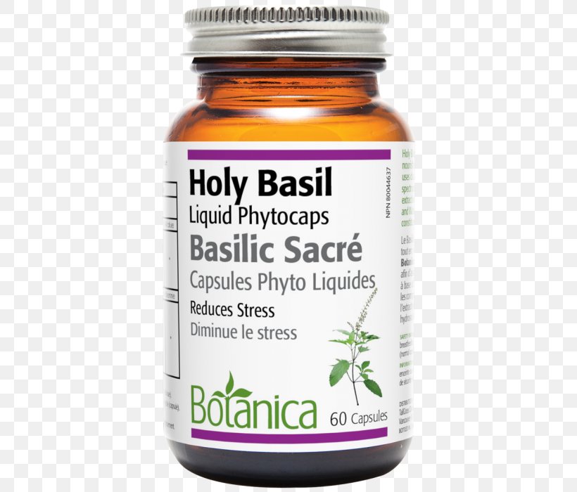 Capsule Holy Basil Health Herb Liquid, PNG, 370x700px, Capsule, Adaptogen, Basil, Eugenol, Extract Download Free