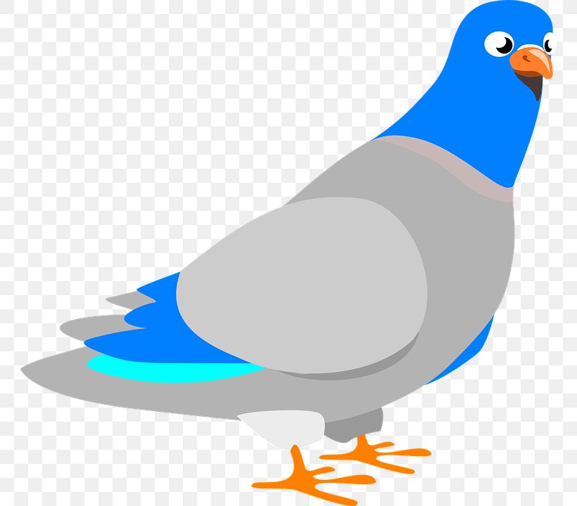Columbidae Homing Pigeon Clip Art, PNG, 762x720px, Columbidae, Beak, Bird, Domestic Pigeon, Fauna Download Free