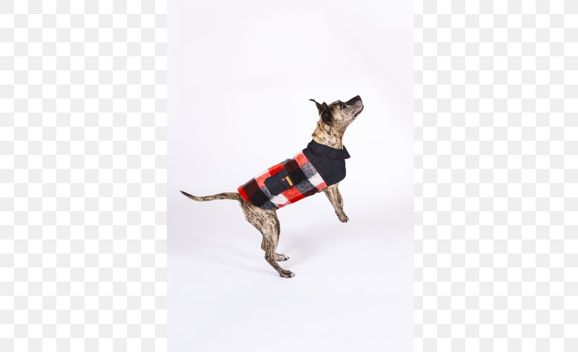 Dog Breed Italian Greyhound Coat Staffordshire Bull Terrier Jacket, PNG, 500x500px, Dog Breed, Breed, Carnivoran, Clothing, Coat Download Free