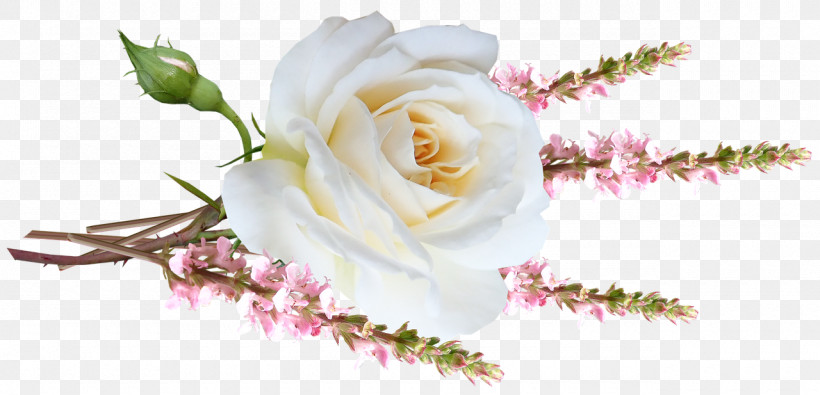 Garden Roses, PNG, 1280x617px, Garden Roses, Artificial Flower, Cut Flowers, Flora, Floral Design Download Free