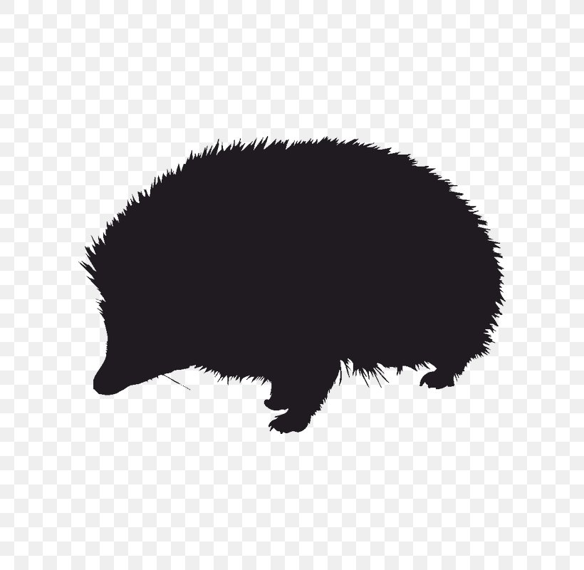 Hedgehog Silhouette Drawing Image Vector Graphics, PNG, 800x800px, Hedgehog, Animal, Bear, Black, Black And White Download Free