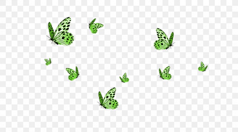 Monarch Butterfly Clip Art, PNG, 900x500px, Butterfly, Amphibian, Animal Figure, Color, Computer Font Download Free