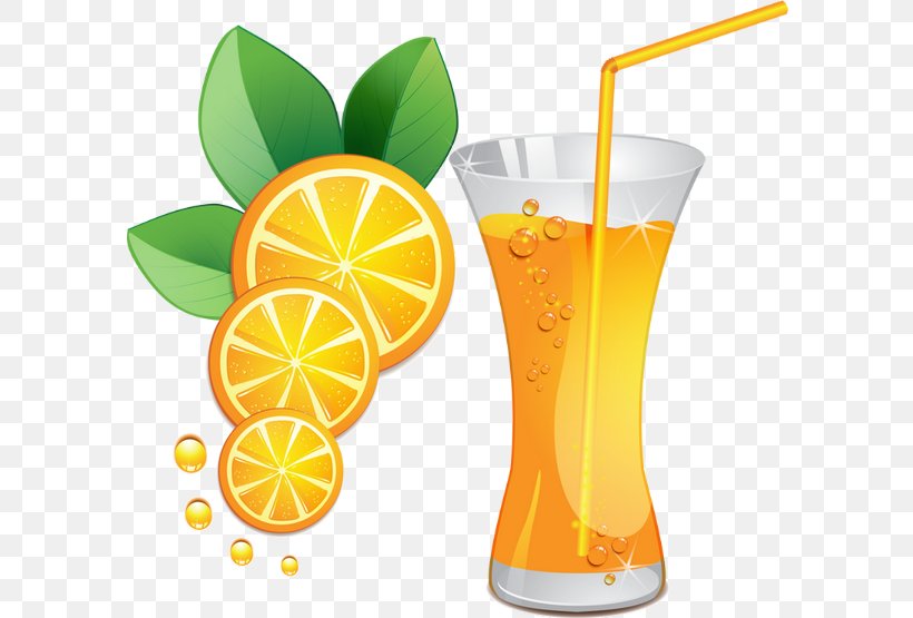 Orange Juice Orange Drink Cocktail, PNG, 600x555px, Orange Juice, Auglis, Citric Acid, Citrus, Citrus Fruit Download Free