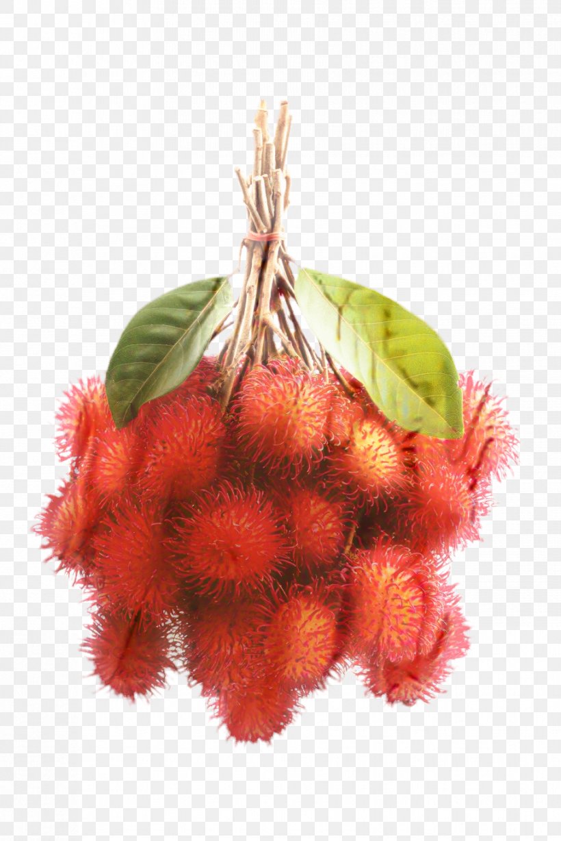 Family Tree Background, PNG, 916x1372px, Rambutan, Berry, Flower, Food, Fruit Download Free