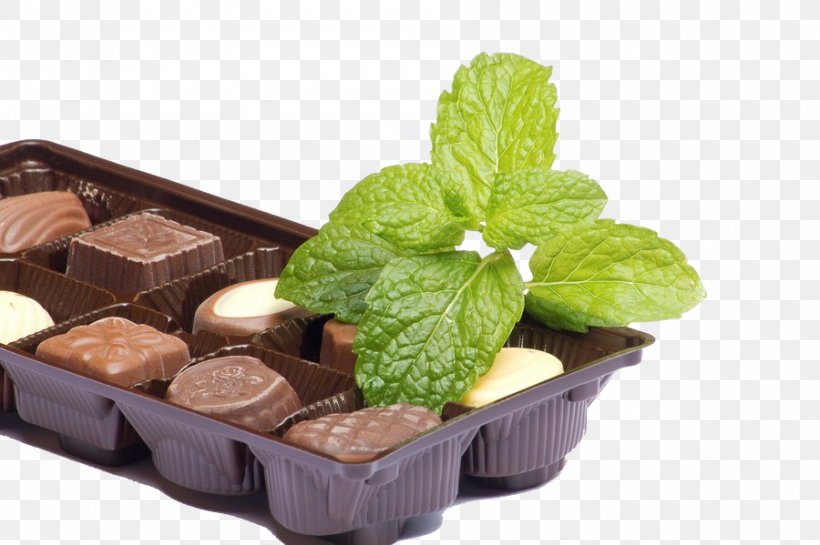 Herb Mint Chocolate, PNG, 900x599px, Herb, Chocolate, Chocolate Mint, Cows Milk, Flowerpot Download Free