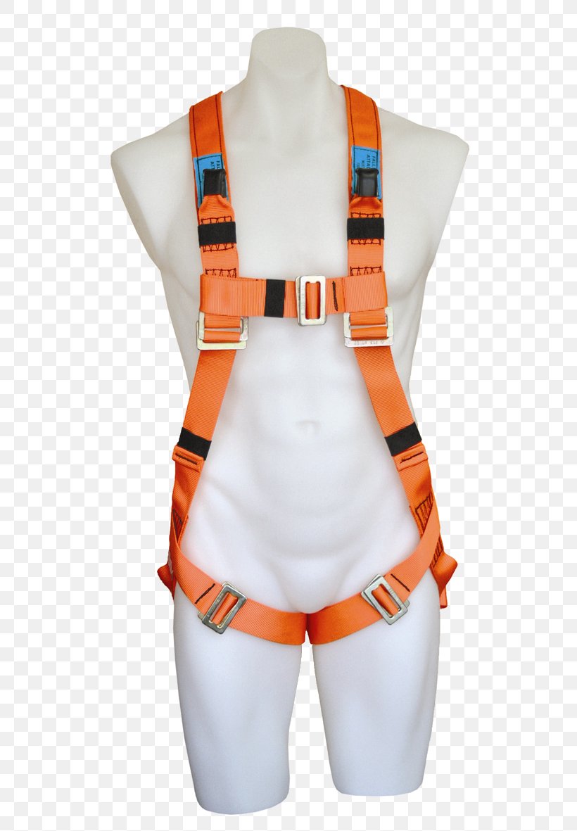 Roofer Safety Harness Fall Arrest, PNG, 554x1181px, Roofer, Carabiner, Climbing Harness, Climbing Harnesses, Fall Arrest Download Free