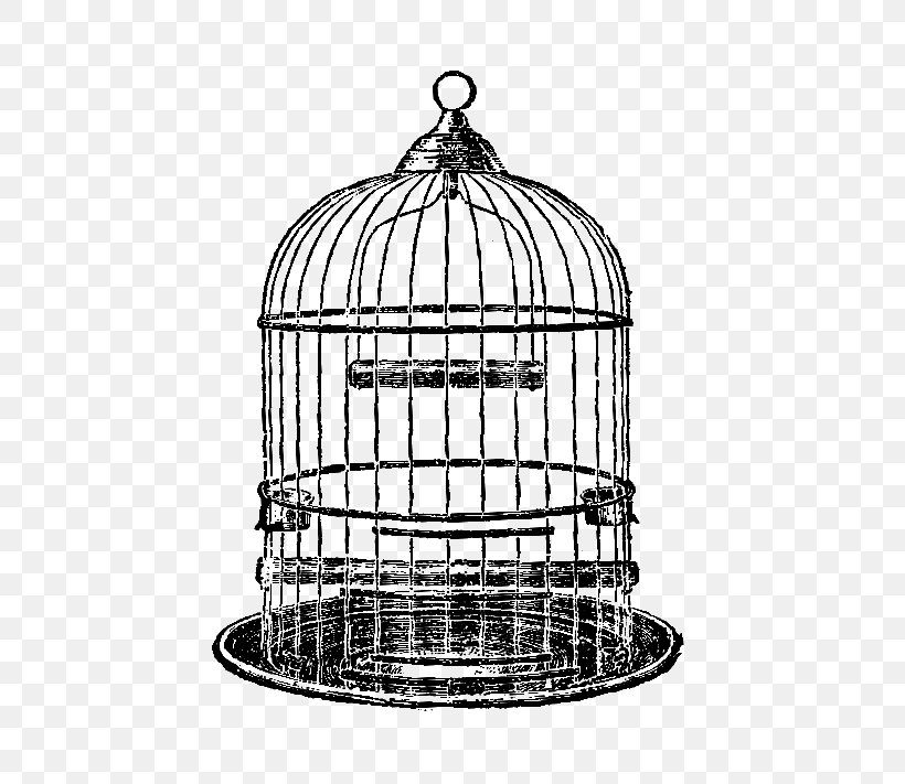 Birdcage Parrot Clip Art, PNG, 581x711px, Bird, Art, Birdcage, Black And White, Cage Download Free