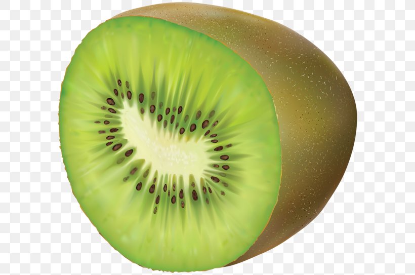 Kiwifruit Clip Art, PNG, 600x543px, Kiwifruit, Drawing, Food, Fruit, Kiwi Download Free