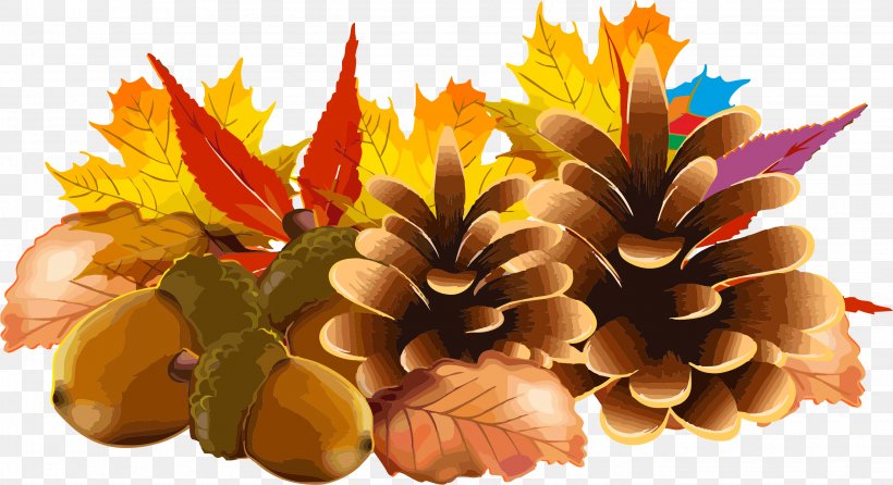 Thanksgiving Day El Dia De Accion De Gracias Spanish Clip Art, PNG, 2679x1460px, Thanksgiving, Autumn, Christmas, Cut Flowers, El Dia De Accion De Gracias Download Free