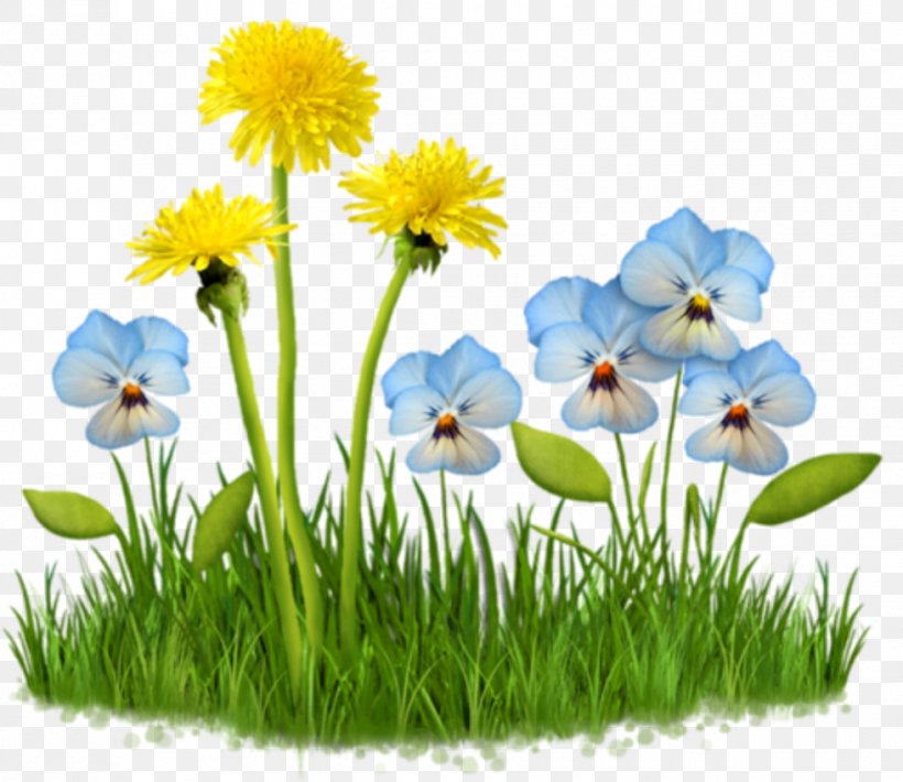 Animaatio Spring Computer Animation Clip Art, PNG, 980x849px, Animaatio, Animated Film, Annual Plant, Blog, Chamaemelum Nobile Download Free