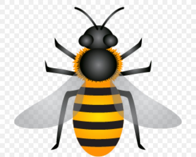 Bee Honey Euclidean Vector Apis Florea, PNG, 1245x1000px, Bee, Apis Florea, Arthropod, Fly, Honey Download Free