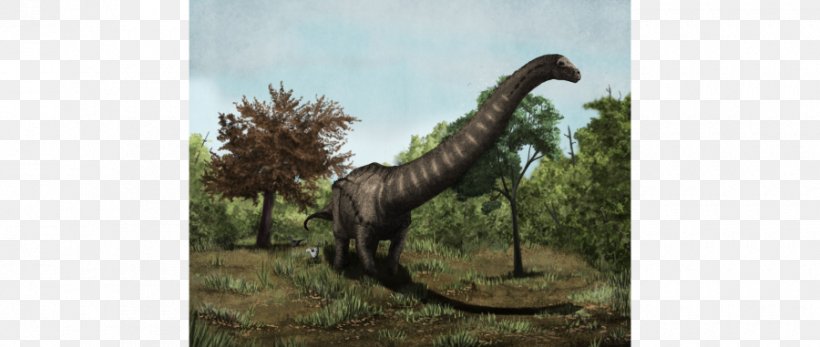 Dreadnoughtus Velociraptor Talenkauen Dinosaur Deinonychus, PNG, 900x381px, Dreadnoughtus, Animal, Carnotaurus, Cretaceous, Deinonychus Download Free