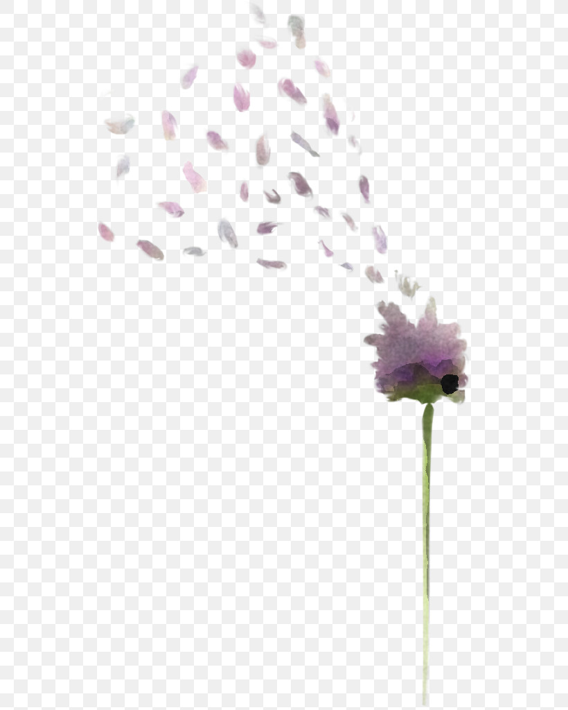 Lavender, PNG, 539x1024px, Plant Stem, Biology, Flower, Lavender, Lilac Download Free
