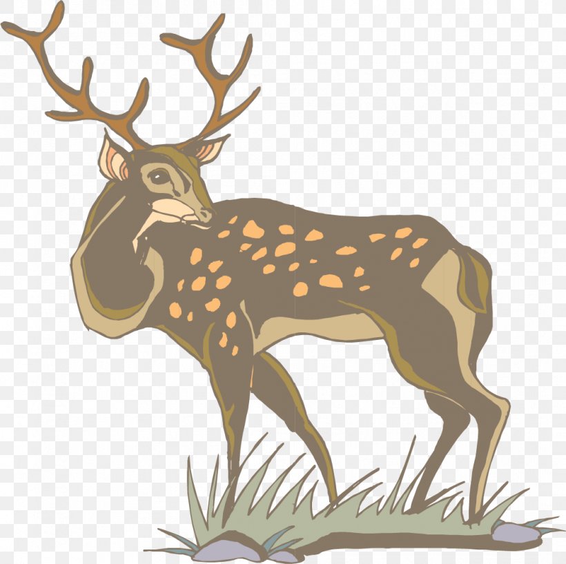 White-tailed Deer Antler Clip Art, PNG, 1054x1052px, Whitetailed Deer, Animal, Antler, Deer, Elk Download Free