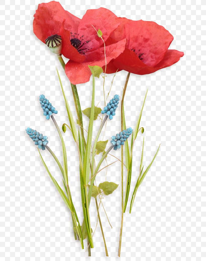 Birthday Poppy Flower Watercolor Painting, PNG, 650x1036px, Birthday, Art, Artificial Flower, Coquelicot, Cut Flowers Download Free