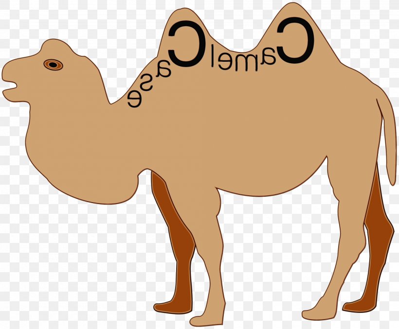 Dog Cartoon, PNG, 2000x1652px, Dromedary, Animal Figure, Arabian Camel, Bactrian Camel, Camel Download Free