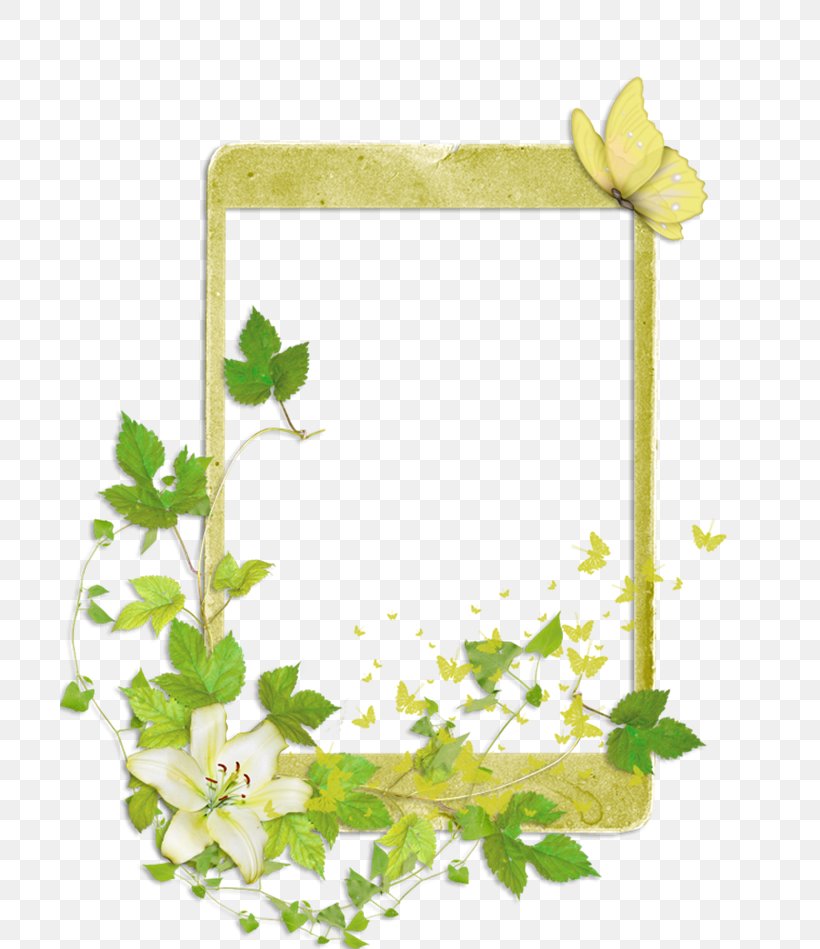 Download, PNG, 700x949px, Green, Animation, Border, Branch, Flora Download Free
