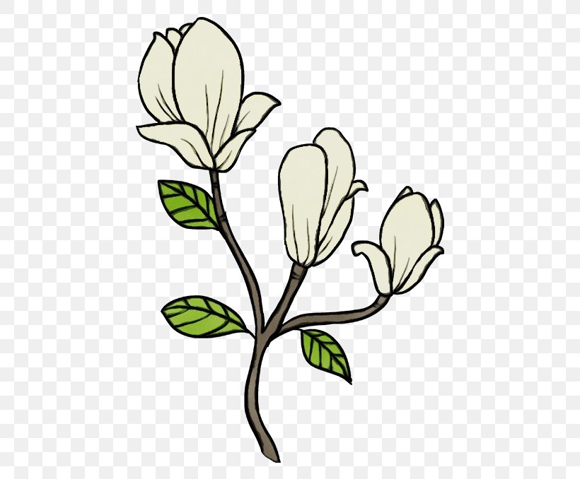 Watercolor Flower Background, PNG, 680x678px, Watercolor, Branch, Bud, Cartoon, Drawing Download Free