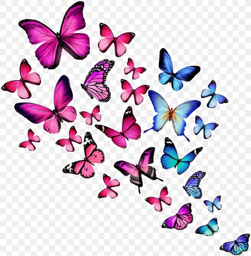 Butterfly Desktop Wallpaper Stock Photography, PNG, 1168x1190px, Butterfly, Blue, Brush Footed Butterfly, Drawing, Heart Download Free