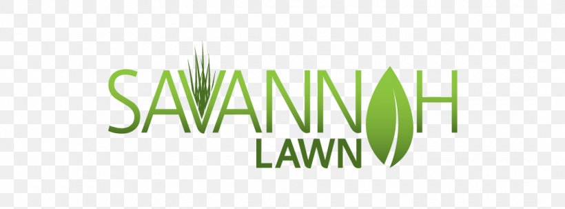 Logo Lawn Brand Product Design, PNG, 1080x400px, Logo, Brand, Commodity, Computer, Grass Download Free