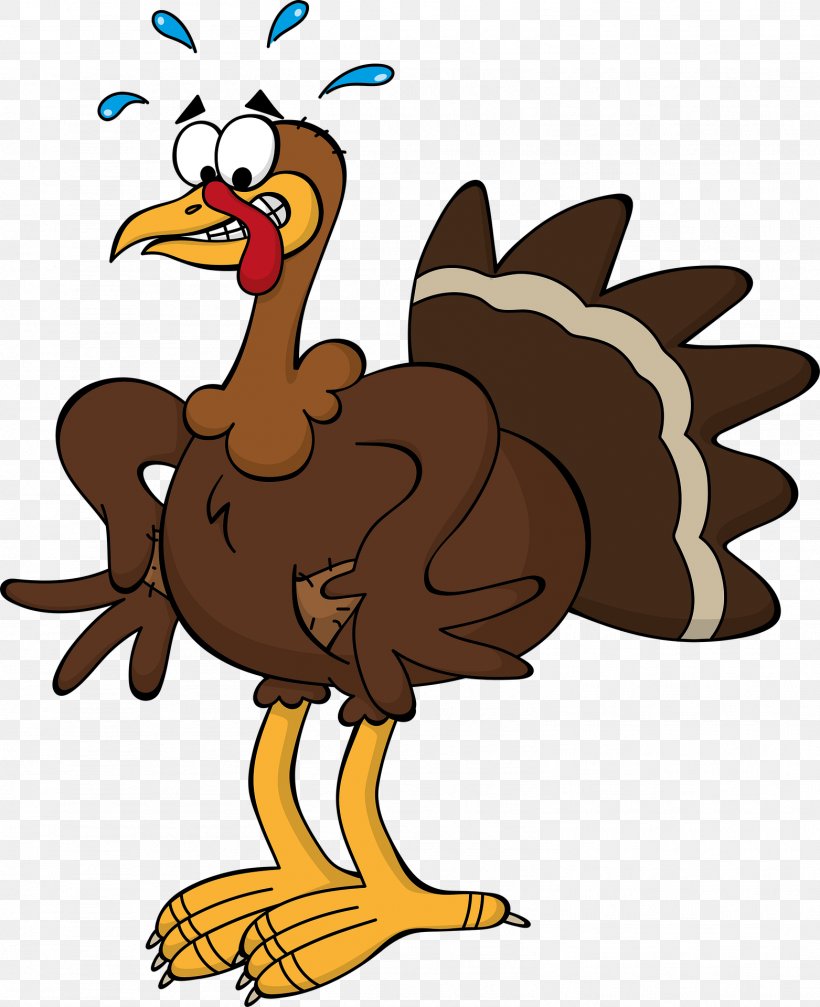 Black Turkey Thanksgiving Cartoon Clip Art, PNG, 1563x1920px, Black Turkey, Animation, Art, Beak, Bird Download Free