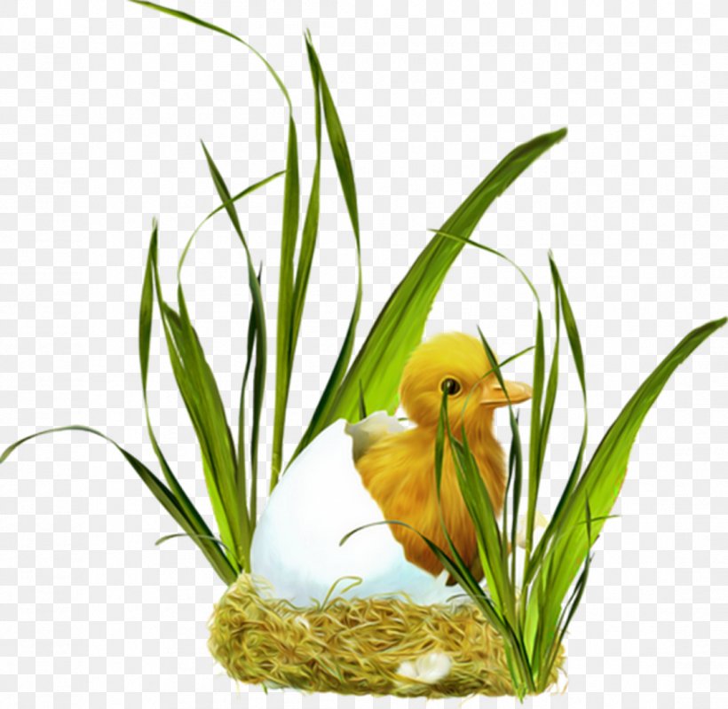 Easter Bunny Easter Egg Clip Art, PNG, 1108x1080px, Easter, Beak, Bird, Birthday, Duck Download Free