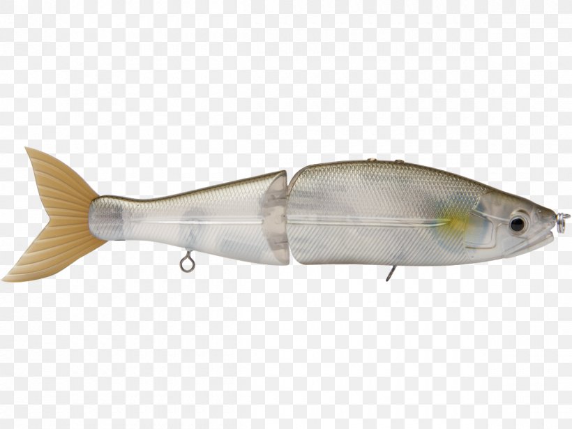 Milkfish Spoon Lure Herring Fishing Baits & Lures, PNG, 1200x900px, Milkfish, Bait, Biology, Bonyfish, Chemical Element Download Free