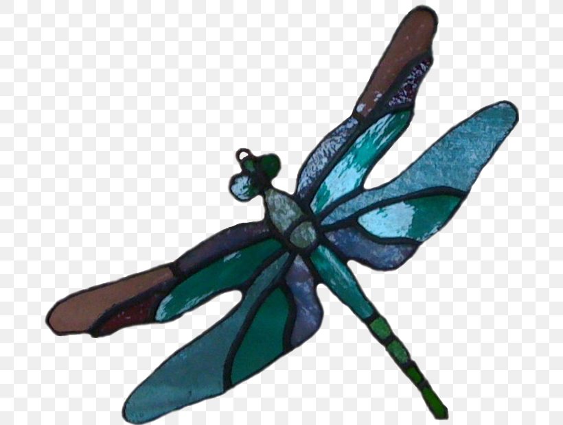 Teal Dragonfly Insect Wing Turquoise, PNG, 692x620px, Teal, Butterfly, Dragonflies And Damseflies, Dragonfly, Insect Download Free