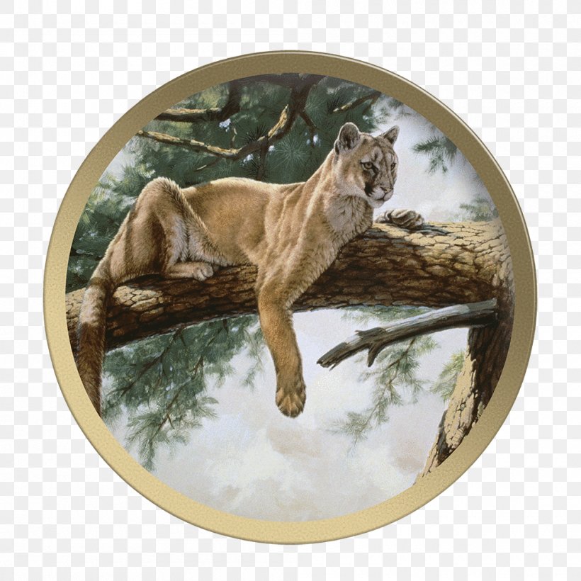 Cougar Rocky Mountain Lion Guy Coheleach's Animal Art Plate, PNG, 1000x1000px, Cougar, Art, Big Cat, Big Cats, Book Download Free