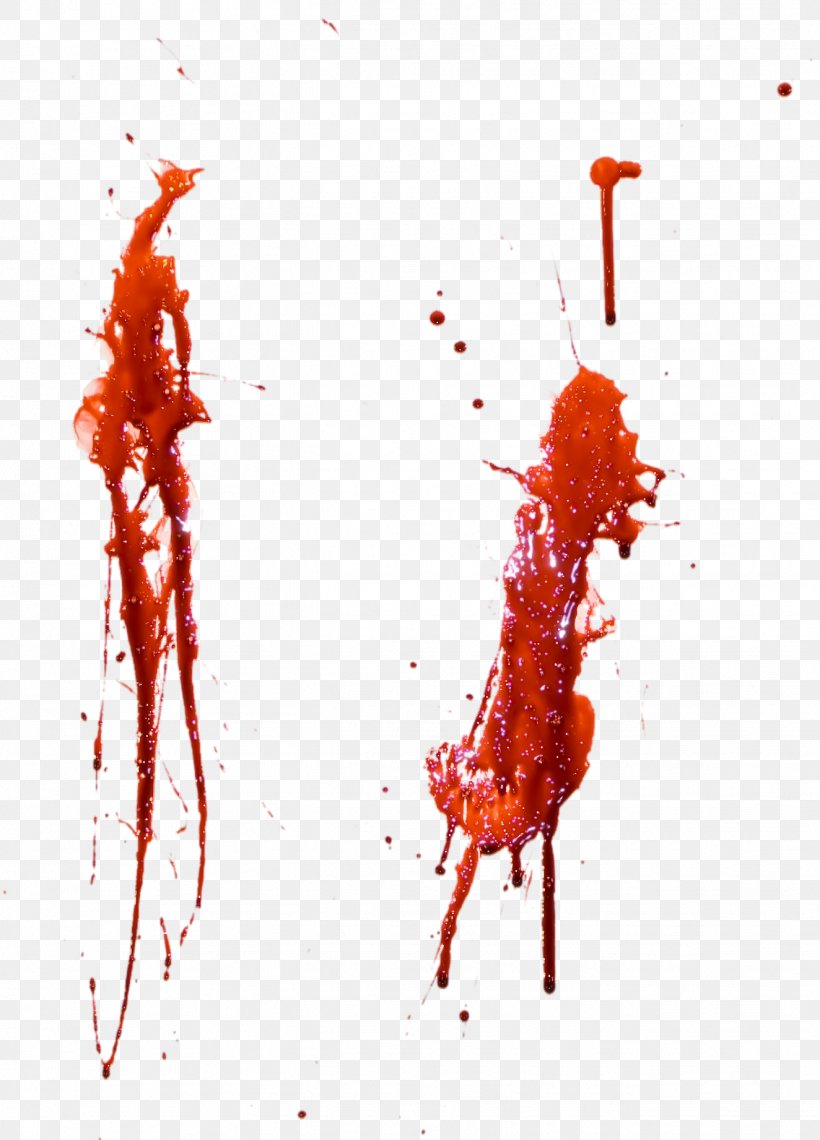 Download, PNG, 1324x1842px, Drawing, Blood, Dots Per Inch, Gimp, Organism Download Free