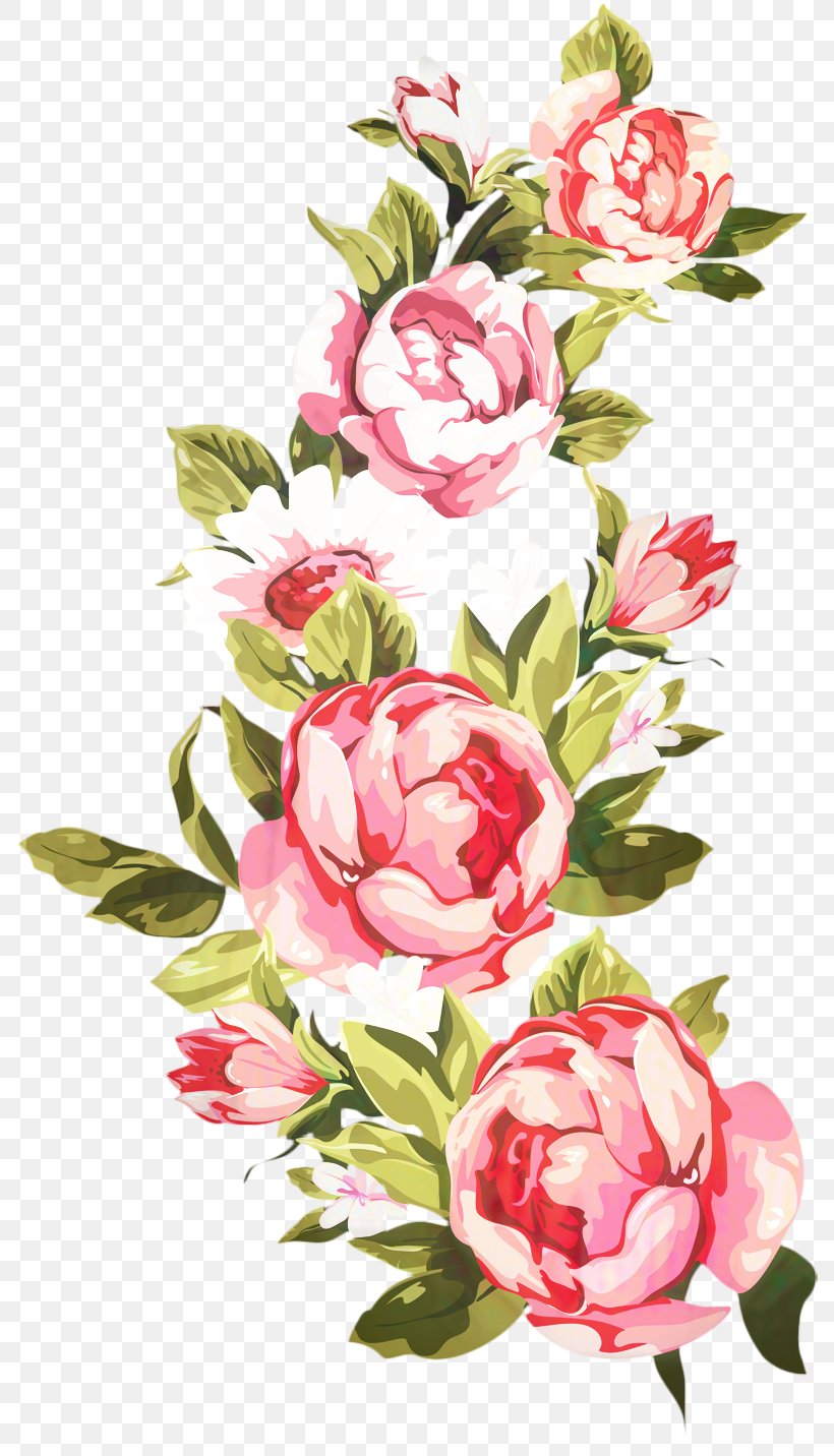 Watercolor Pink Flowers, PNG, 788x1432px, Floral Design, Borders And Frames, Camellia, Chinese Peony, Common Peony Download Free