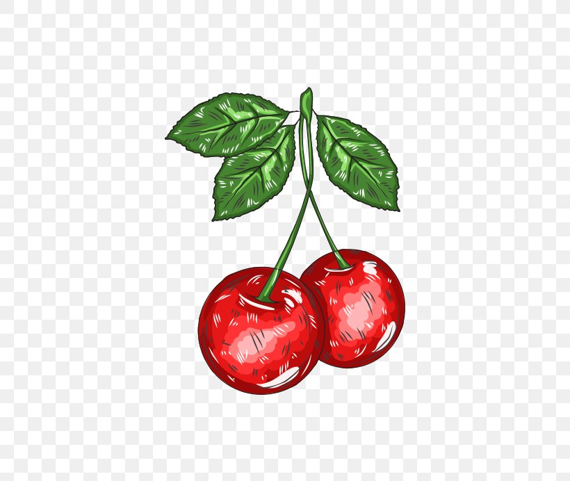 Cherry Cartoon Adobe Illustrator, PNG, 700x692px, Cherry, Acerola, Cartoon, Food, Fruit Download Free