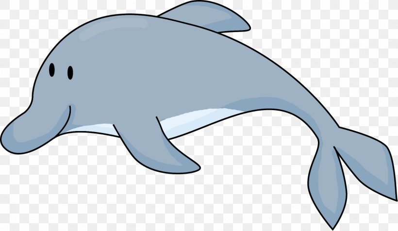 Common Bottlenose Dolphin Tucuxi Rough-toothed Dolphin Porpoise Clip Art, PNG, 1600x929px, Common Bottlenose Dolphin, Beluga Whale, Bottlenose Dolphin, Cartoon, Computer Download Free